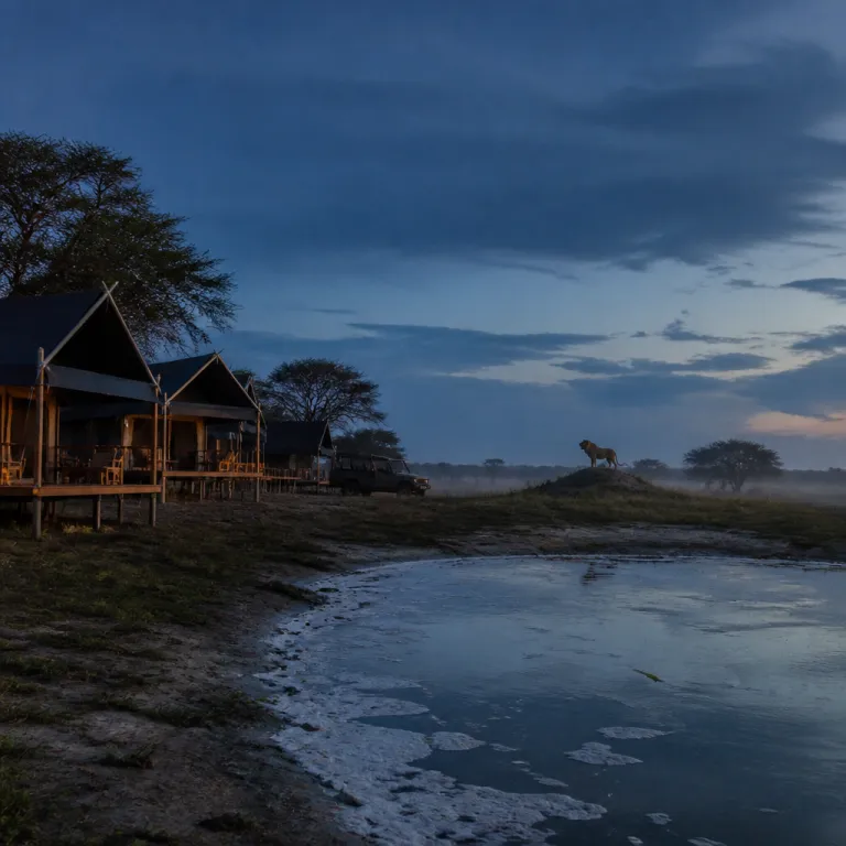 Sleep under canvas, wake to a roar: the mobile tented camps rewriting luxury safari in Zimbabwe