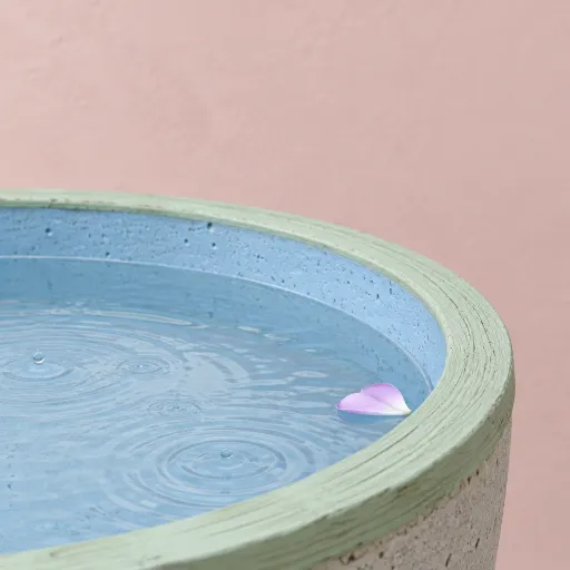 Every drop counts: how Zimbabwe's best lodges turned water into their hardest design problem