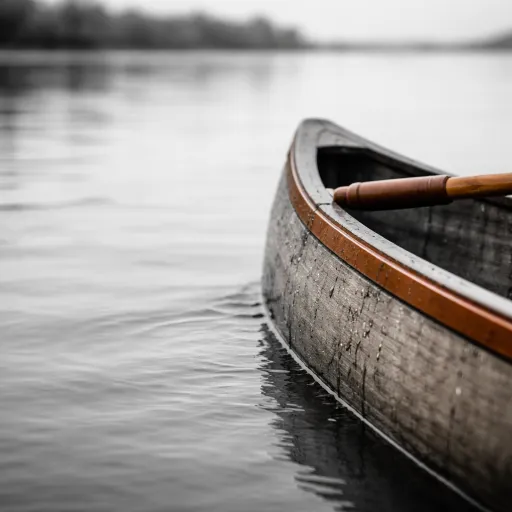 Canoeing Mana Pools: what the lower Zambezi delivers that no Hwange game drive can