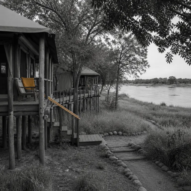 Mana Pools Zimbabwe: elevated safari stays and walking adventures on the Zambezi
